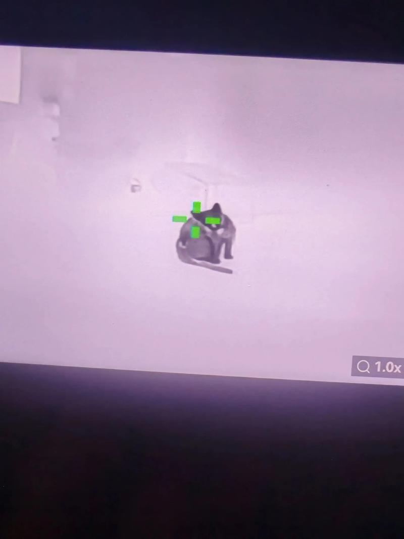 云南蘑菇是什么梗